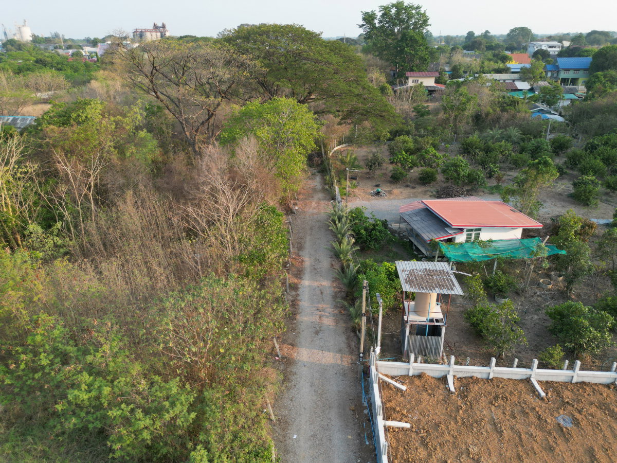 รูป #ขายที่ดินสระบุรี #ที่ดินท่าเรือ #ที่ดินบ้านหมอ ขนาด 237 ตรว. สี่เหลี่ยมสวย #ขายราคาถูกมากๆ บางโขมด บ้านหมอ ท่าเรือ สระบุรี  - รูปที่ 19/39