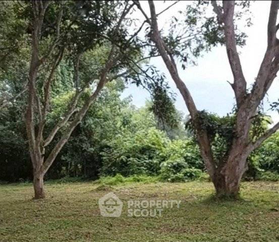 รูป ที่ดินสำหรับปล่อยขาย 4,800 ตารางเมตร แถว ใน สันทราย (ID 2676025) - รูปที่ 3/4