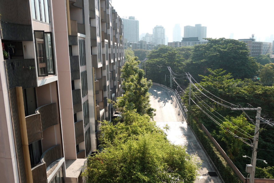 picture  Kawa                         Haus  - 7/7