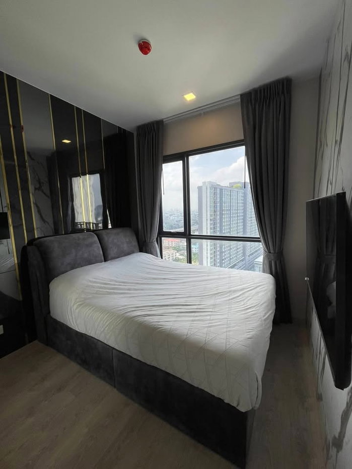 รูป เช่าคอนโด The Tree Pattanakarn - Ekkamai/เดอะ ทรี พัฒนาการ - เอกมัย (G6904005)  ID Line : @condo65 - รูปที่ 1/6
