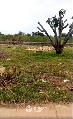 ที่ดิน วัดศรีดอนชัยป่าตึงงาม (วัดแม่เก็ดน้อย) : ที่ดินสำหรับปล่อยขาย 3,100 ตารางเมตร แถว ใน ป่าไผ่ (ID 2635424)