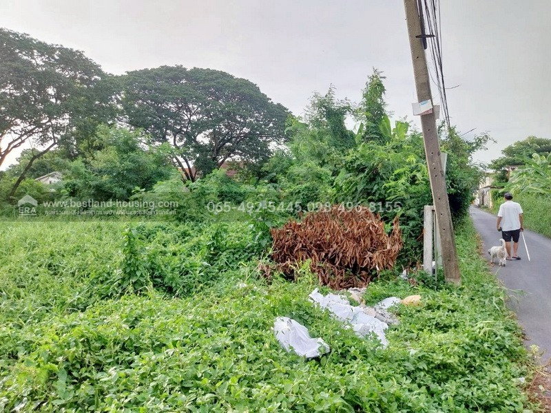 รูป ขาย ที่ดิน 386 ตรว. ซ.สายไหม6 หรือ ซ.พหลโยธิน54/1แยก8 ใกล้ถนนจันทรุเบกษา แยกคปอ. โรงเรียนฤทธิยะวรรณาลัย - รูปที่ 5/18