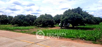 ที่ดิน เชียงใหม่ : ที่ดินสำหรับปล่อยขาย 15,548 ตารางเมตร แถว ใน แม่แวน (ID 2639929)