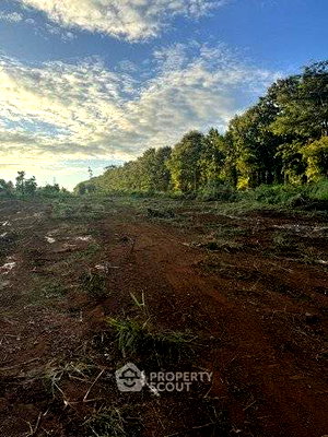 ที่ดิน แม่แตง เชียงใหม่ : ที่ดินสำหรับปล่อยขาย 4,215.6 ตารางเมตร แถว ใน สันมหาพน (ID 2650836)