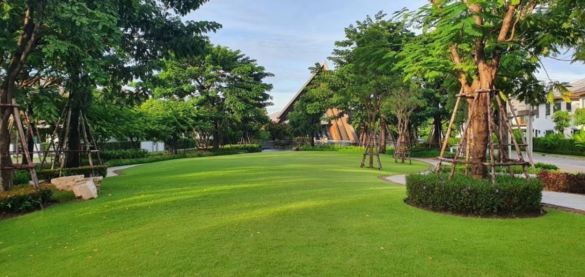 รูป บ้านเดี่ยวให้เช่า บุราสิริ พัฒนาการ (Burasiri Pattanakar) ติดสวน ติด Clubhouse - รูปที่ 12/16