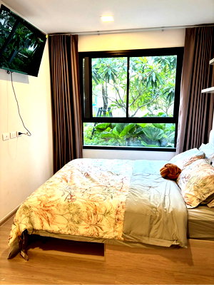 เช่าคอนโด บิ๊กซี ภูเก็ต : 🏝️ Dcondo Reef Phuket – For Rent