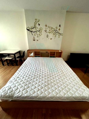 เช่าคอนโด ม.ศรีปทุม : 🚩 ให้เช่าคอนโด ศุภาลัย ปาร์ค แยกเกษตร อาคาร 2 ชั้น 14 สตูดิโอ ขนาด 35.00 ตรม ใกล้ ตลาดอมรพันธ์