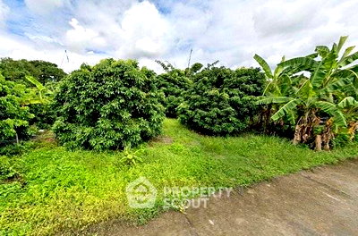 ที่ดิน สารภี เชียงใหม่ : ที่ดินสำหรับปล่อยขาย 1,580 ตารางเมตร แถว ใน สารภี (ID 2654306)