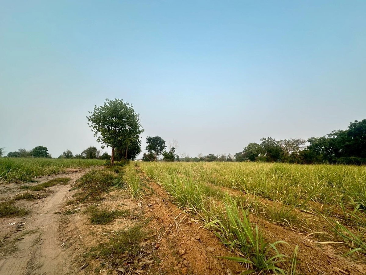 รูป ขายที่ดินติด ถนนมิตรภาพขอนแก่น - รูปที่ 6/8