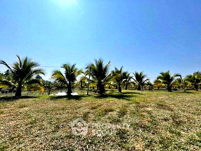 Land for sale : Land For Sale 5,045 Sqm Ban Pao Mae Taeng Chiang Mai (ID 2665160)