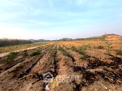 ที่ดิน บางละมุง ชลบุรี : ที่ดินสำหรับปล่อยขาย 65,600 ตารางเมตร แถว ใน ห้วยใหญ่ (ID 2812151)