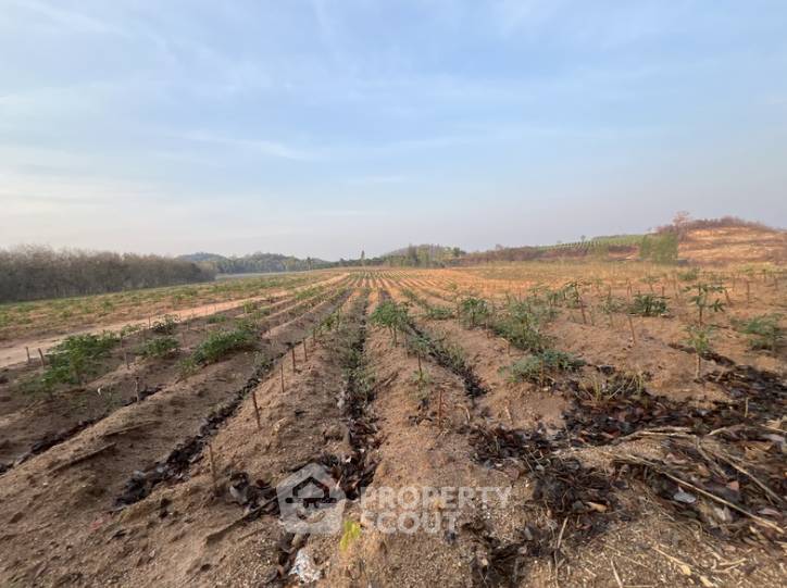 รูป ที่ดินสำหรับปล่อยขาย 65,600 ตารางเมตร แถว ใน ห้วยใหญ่ (ID 2812151) - รูปที่ 1/7