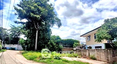 ที่ดิน เพชรเกษม 98/1 : ที่ดินสำหรับปล่อยขาย 280 ตารางเมตร แถว ใน บางแคเหนือ (ID 2801477)