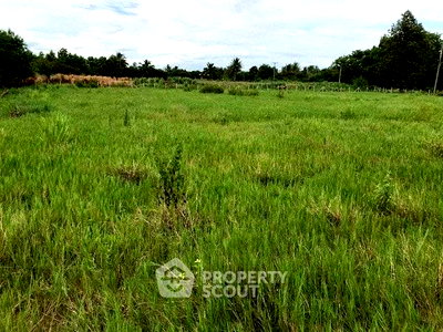 Land for sale Doi Lo Chiang Mai : Land For Sale 2,045 Sqm In Doi Lo, Chiang Mai (ID 2652854)