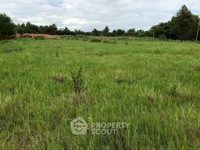 picture Land For Sale 2,045 Sqm In Doi Lo, Chiang Mai (ID 2652854) - 1/6