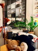 listing thumbnail image 16