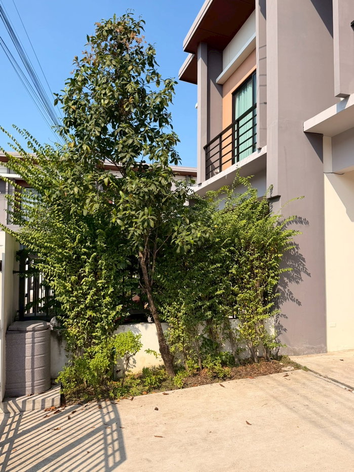 รูป ขายทาวน์โฮม 3 ห้องนอน 2 ห้องน้ำ 2 ที่จอดรถ บ้านสวย แสงสวย  - รูปที่ 3/17