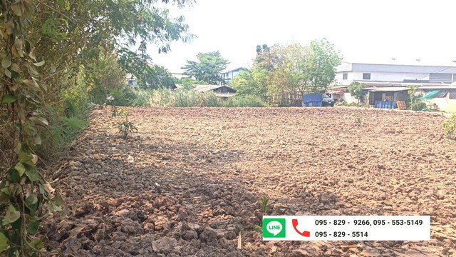 รูป ขายที่ดินถูกถมแล้ว 200 ตรว. แปลงหัวมุม ขยายที่ดินเพิ่มได้อีก 200 วา ถนนราชพฤกษ์ ใกล้โรบินสัน ต.คลองข่อย อ.ปากเกร็ด นนทบุรี - รูปที่ 1/8