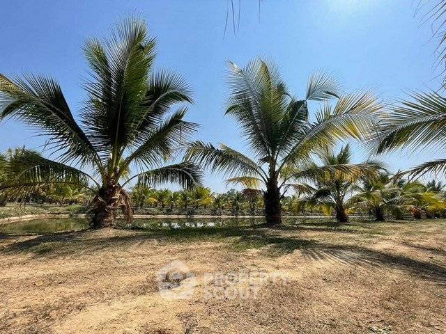 picture Land For Sale 5,045 Sqm Ban Pao Mae Taeng Chiang Mai (ID 2665160) - 5/7