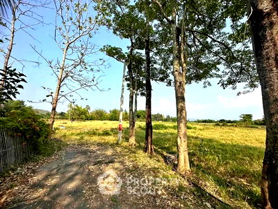ที่ดิน ดอยสะเก็ด เชียงใหม่ : ที่ดินขาย 2,584 ตร.ม. ป่าโป่ง ดอยสะเก็ด เชียงใหม่ (ID 2657627)