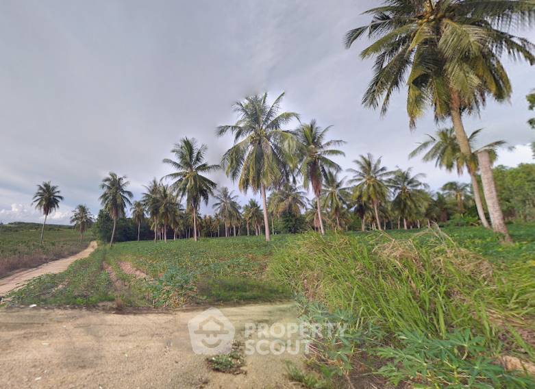 รูป ที่ดินสำหรับปล่อยขาย 65,600 ตารางเมตร แถว ใน ห้วยใหญ่ (ID 2812151) - รูปที่ 3/7