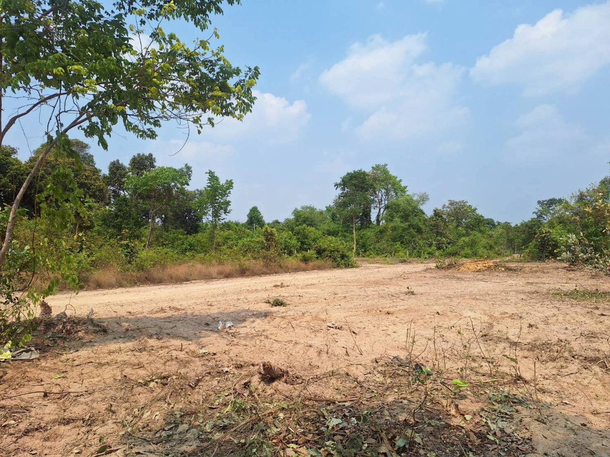 picture Land for Sale @Khamyai Ubonratchathani - 9/11