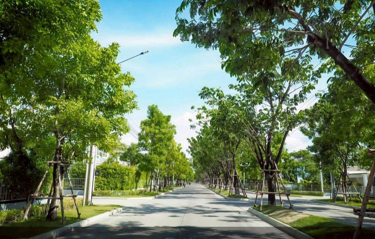 รูป ขาย บ้านเดี่ยว 2 ชั้น Villaggio Pinklao-Salaya  ต.ศาลากลาง อ.บางกรวย จ.นนทบุรี  51 ตรว  3นอน3น้ำ - รูปที่ 3/10