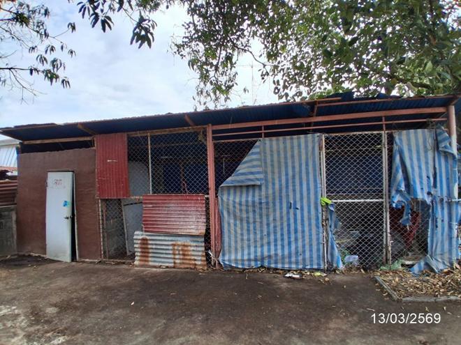 รูป บ้านเดี่ยว 303 ตร.วา พนมไพร ร้อยเอ็ด 4M - รูปที่ 19/42