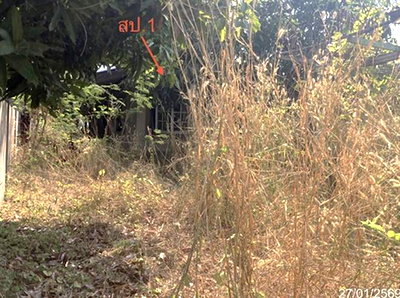 บ้านเดี่ยว ดอนเจดีย์ สุพรรณบุรี : บ้านเดี่ยว 100 ตร.วา ดอนเจดีย์ สุพรรณบุรี 926,000