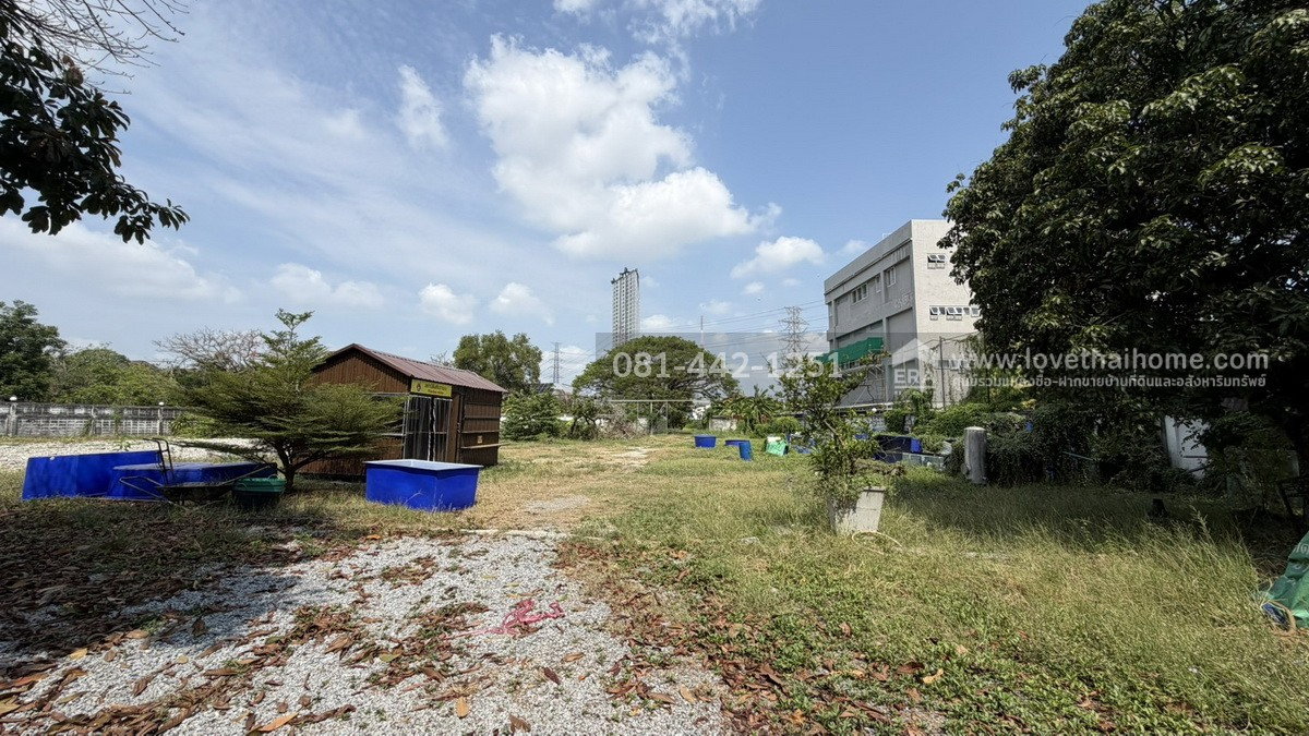 รูป ขายที่ดินถนนพัฒนาการ56 หมู่บ้านเอื้อสุขแมนชื่นพาร์ค พื้นที่ 594 ตรว. ราคาถูก ขายเพียง 120,000 บาท/ตรว. มีหลายแปลงแบ่งขาย อยู่แนวรถไฟฟ้าสายสีเหลือง - รูปที่ 2/9