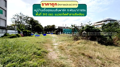 ที่ดิน วิทยาลัยดุสิตธานี : ขายที่ดินถนนพัฒนาการ56 หมู่บ้านเอื้อสุขแมนชั่นพาร์ค พื้นที่ 393 ตรว. ขายเพียง 120,000 บาท/ตรว. มีหลายแปลงแบ่งขาย อยู่แนวรถไฟฟ้าสายสีเหลือง