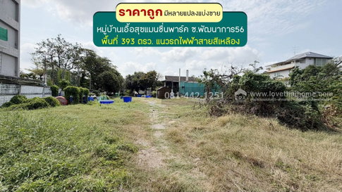 ขายที่ดินถนนพัฒนาการ56 หมู่บ้านเอื้อสุขแมนชั่นพาร์ค พื้นที่ 393 ตรว. ขายเพียง 120,000 บาท/ตรว. มีหลายแปลงแบ่งขาย อยู่แนวรถไฟฟ้าสายสีเหลือง