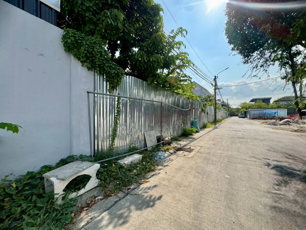 รูป ขายที่ดินอ่อนนุช 17 แยก16 สวยมากถมแล้ว ขนาด 201 ตารางวา (N.2060) ขายที่ดินอ่อนนุช 17 แยก16 สวยมากถมแล้ว ขนาด 201 ตารางวา (N.2060) - รูปที่ 2/7