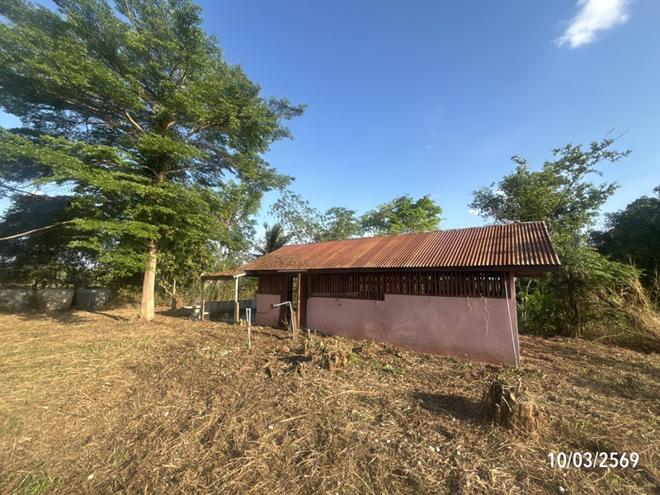 รูป บ้านเดี่ยว 704 ตร.วา ห้วยแถลง นครราชสีมา 3M - รูปที่ 15/42