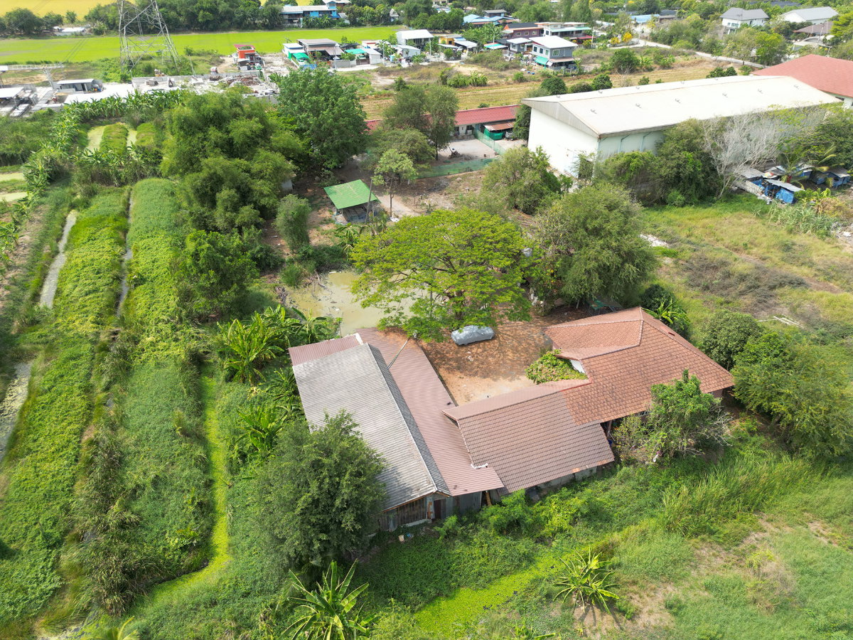 รูป #ขายโรงงาน #ขายโกดัง #ขายคลังสินค้า #ขายราคาดีมากๆ #ขายต่ำกว่าราคาประเมินเกือบครึ่ง ลดราคาจาก 35 ล้าน ขายเพียง 19.9 ล้านบาท บางบัวทอง นนทบุรี  - รูปที่ 9/16