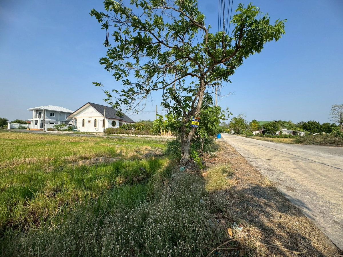 รูป ขายที่ดินสวย ซอยอยู่วิทยา หนองจอก วิวโล่ง ราคาดี **ต่ำกว่าตลาด** (N.2073) - รูปที่ 6/7