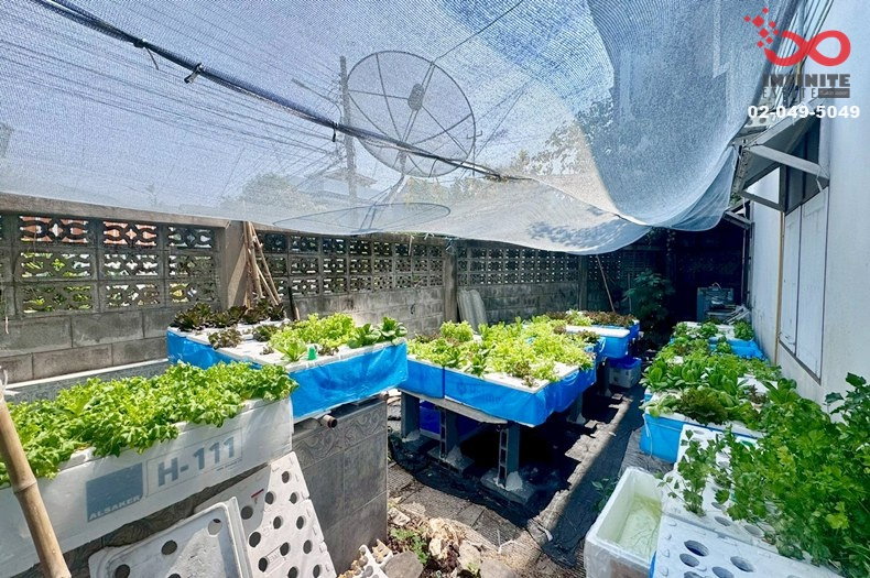 รูป ขายบ้านเดี่ยว 2 ชั้น 150ตรว. สุขุมวิท 93 พระโขนง ใกล้ BTS บางจาก - รูปที่ 6/7