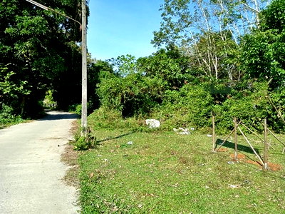 ที่ดิน ทุ่งสง นครศรีธรรมราช : F4-0340 ขายที่ดินเปล่า ซอยวังหีบ ต. ชะมาย อ.ทุ่งสง จ.นครศรีธรรมราช