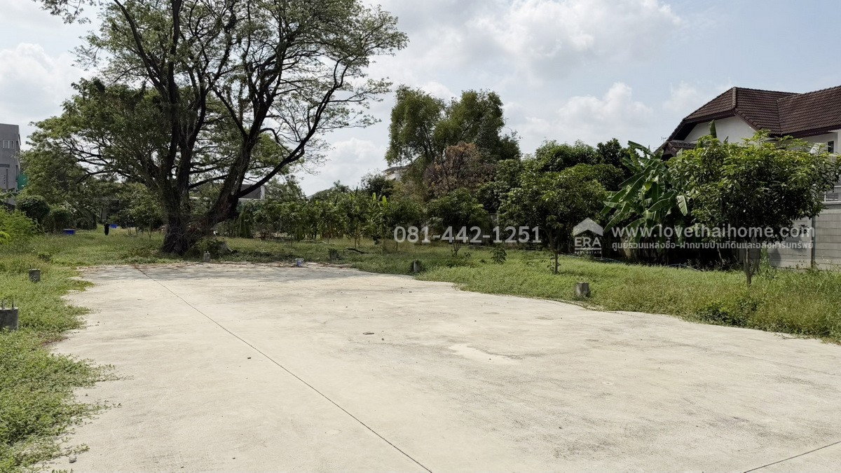 รูป ขายที่ดินถนนพัฒนาการ56 หมู่บ้านเอื้อสุขแมนชื่นพาร์ค พื้นที่ 987 ตรว. ราคาถูกจริงๆ ขายเพียง 120,000 บาท/ตรว.ใกล้ bts สถานีพัฒนาการและแอร์พอร์ตลิ้งค์ - รูปที่ 7/16