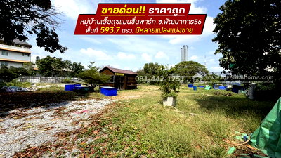 ที่ดิน วิทยาลัยดุสิตธานี : ขายที่ดินถนนพัฒนาการ56 หมู่บ้านเอื้อสุขแมนชื่นพาร์ค พื้นที่ 594 ตรว. ราคาถูก ขายเพียง 120,000 บาท/ตรว. มีหลายแปลงแบ่งขาย อยู่แนวรถไฟฟ้าสายสีเหลือง