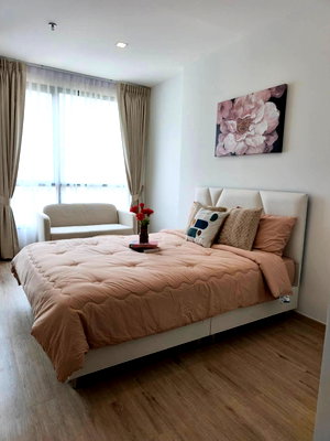 Condos for rent : For  rent  The Rich Rama 9 - Srinakarin  🔴🔴