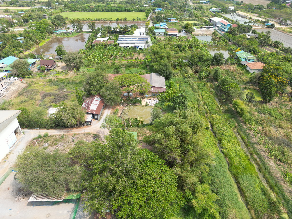 รูป #ขายโรงงาน #ขายโกดัง #ขายคลังสินค้า #ขายราคาดีมากๆ #ขายต่ำกว่าราคาประเมินเกือบครึ่ง ลดราคาจาก 35 ล้าน ขายเพียง 19.9 ล้านบาท บางบัวทอง นนทบุรี  - รูปที่ 6/16