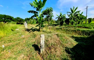 ขายที่ดิน : ขายถูก ที่ดิน ริมบึง 297 ตรว. คลองสามวา ผังเขียว ใกล้เมือง ศักยภาพสูง