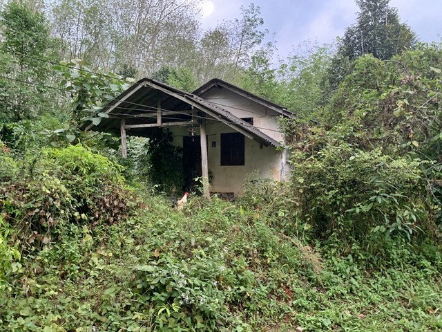 รูป F1-0644 ขายบ้านเดี่ยว ต. ทุ่งกระบือ อ.ย่านตาขาว จ.ตรัง - รูปที่ 5/8