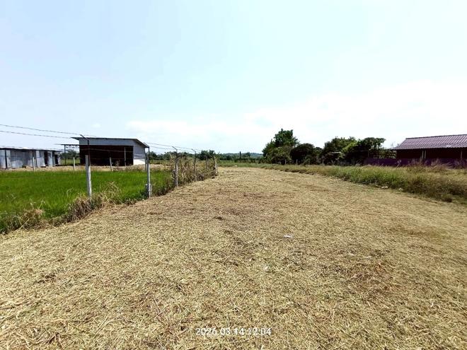 รูป โกดัง 983.7 ตร.วา เมืองสระบุรี สระบุรี 8.5M - รูปที่ 2/26