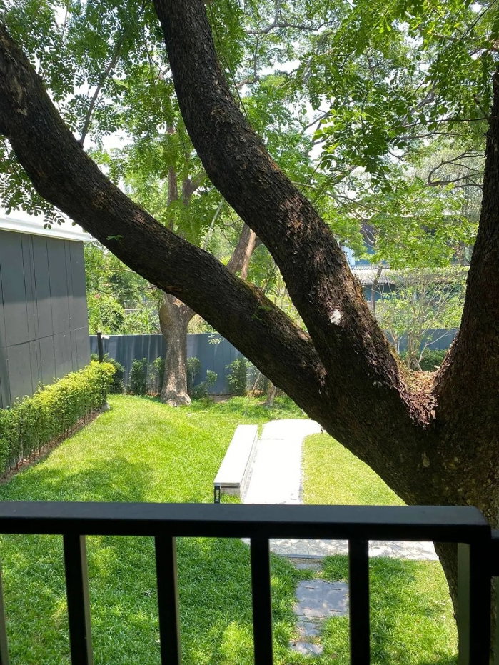 รูป ปล่อยให้เช่า Escent park ville Condo #วิวสวนต้นไม้ใหญ่ ติดเซนเฟส , ม.พายัพ , นิมมาน , เมญ่า
 - รูปที่ 17/17