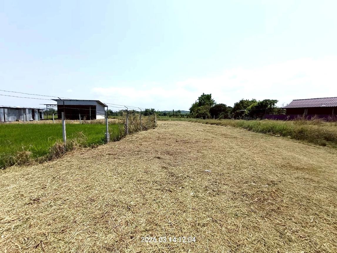 รูป โกดัง 983.7 ตร.วา เมืองสระบุรี สระบุรี 8.5M - รูปที่ 13/26