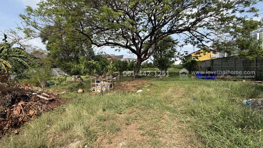 รูป ขายที่ดินถนนพัฒนาการ56 หมู่บ้านเอื้อสุขแมนชื่นพาร์ค พื้นที่ 987 ตรว. ราคาถูกจริงๆ ขายเพียง 120,000 บาท/ตรว.ใกล้ bts สถานีพัฒนาการและแอร์พอร์ตลิ้งค์ - รูปที่ 8/16