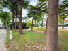 listing thumbnail image 42