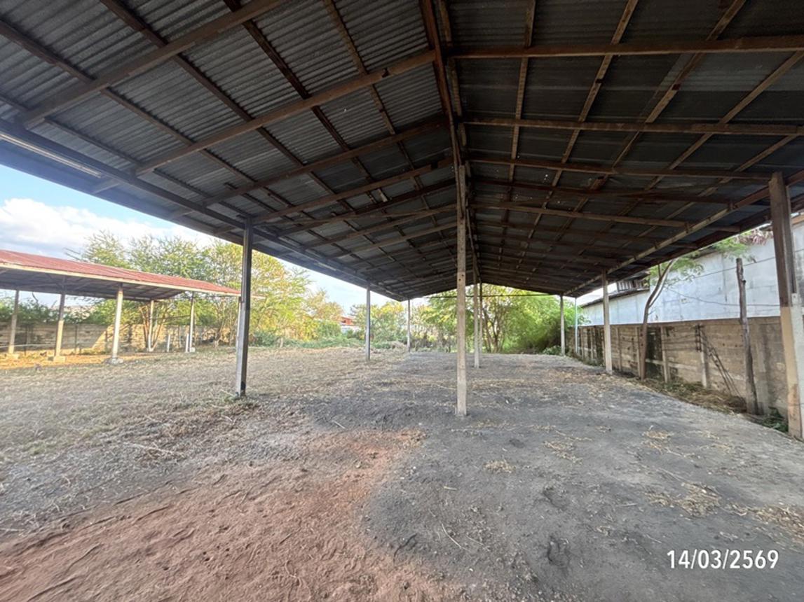 รูป เพิงอเนกประสงค์ 1234.2 ตร.วา พระทองคำ นครราชสีมา 14.9M - รูปที่ 48/54